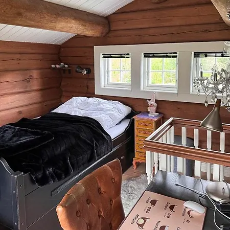 Soulful With Ski-in Access In Dom wakacyjny Rauland