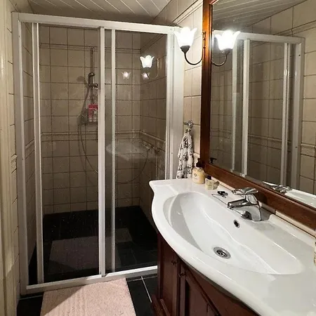 Soulful With Ski-in Access In Rauland