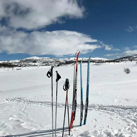 Soulful With Ski-in Access In Rauland