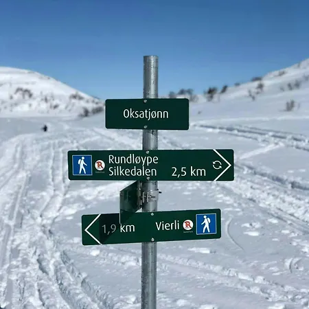 Soulful With Ski-in Access In Rauland